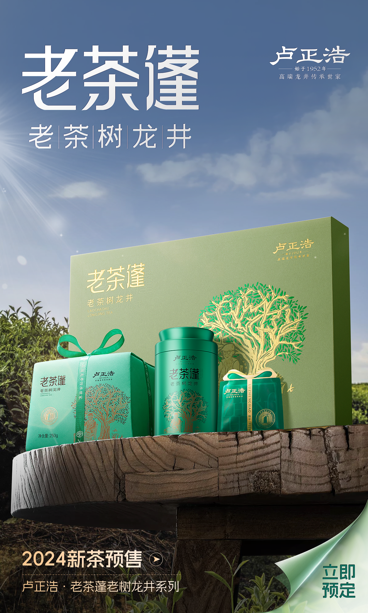 老茶蓬品牌 KV